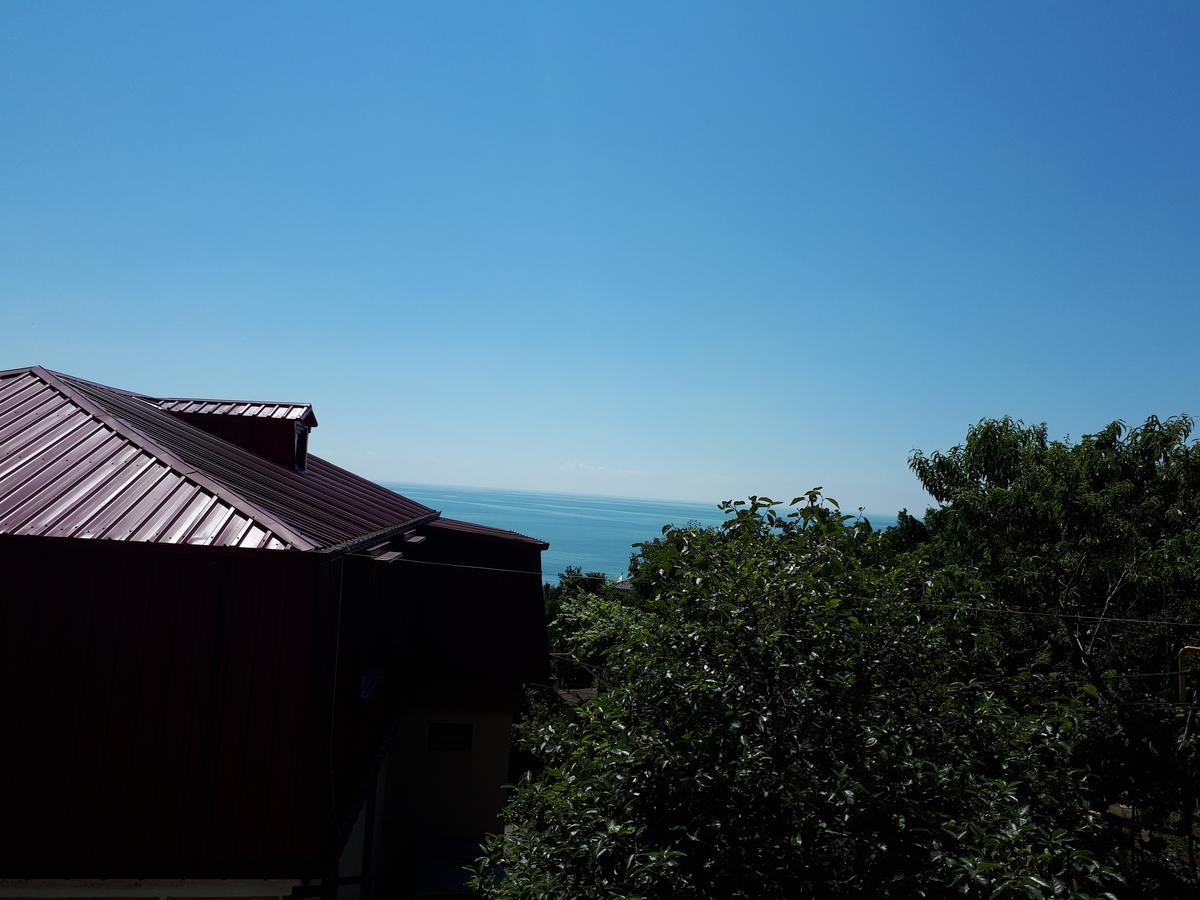 Guest House In サルピ エクステリア 写真